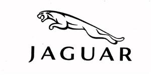 JAGUAR - לוגו סימן מסחר רשום