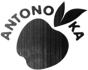 ANTONOVKA - לוגו סימן מסחר