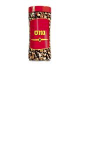 נמס - לוגו סימן מסחר