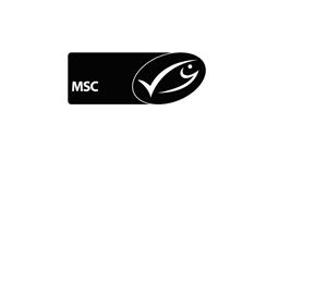 msc - לוגו סימן מסחר רשום