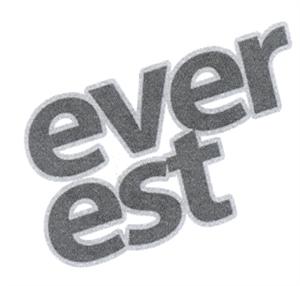 ever est - לוגו סימן מסחר רשום