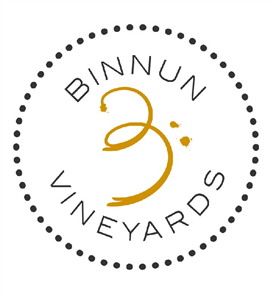 BINNUN VINEYARDS - לוגו סימן מסחר רשום