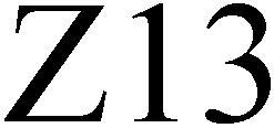 Z13 - לוגו סימן מסחר