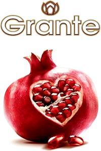 Grante - לוגו סימן מסחר