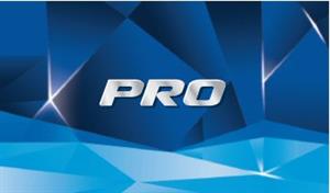 PRO - לוגו סימן מסחר רשום
