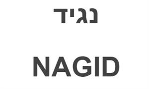 נגיד - לוגו סימן מסחר