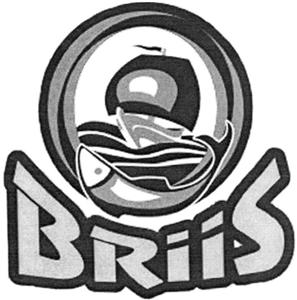 BRIIS - לוגו סימן מסחר רשום