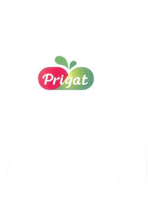 Prigat - לוגו סימן מסחר רשום