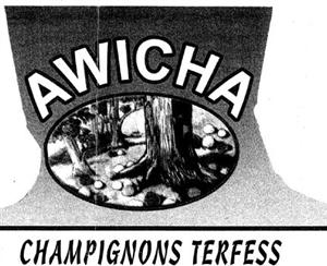 AWICHA CHAMPIGNONS TERFESS - לוגו סימן מסחר