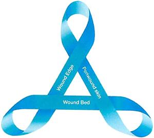 Wound Edge Periwound skin Wound Bed - לוגו סימן מסחר