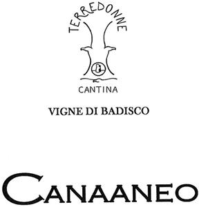 TERREDONNE CANTINA VIGNE DI BADISCO CANAANEO - לוגו סימן מסחר