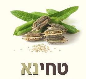 טחינא - לוגו סימן מסחר