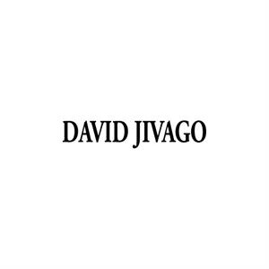DAVID JIVAGO - לוגו סימן מסחר