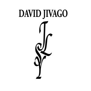 DAVID JIVAGO JLSY - לוגו סימן מסחר