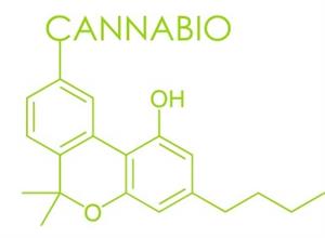 CANNABIO OH O - לוגו סימן מסחר רשום