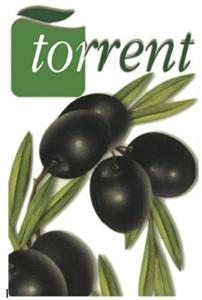 torrent - לוגו סימן מסחר רשום