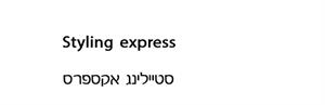 סטיילינג אקספרס - לוגו סימן מסחר