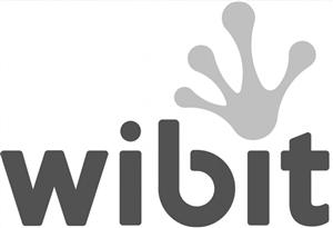 wibit - לוגו סימן מסחר רשום
