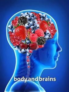 body and brains - לוגו סימן מסחר רשום
