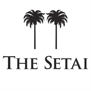 THE SETAI - לוגו סימן מסחר רשום