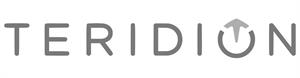 TERIDION - לוגו סימן מסחר רשום