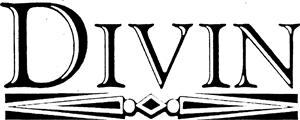 DIVIN - לוגו סימן מסחר רשום