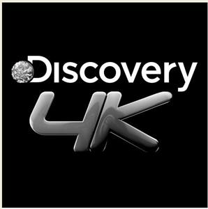 DIscovery 4K - לוגו סימן מסחר רשום