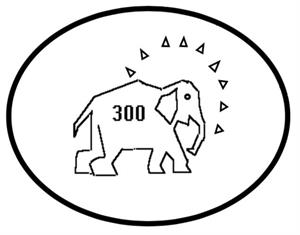300 - לוגו סימן מסחר רשום