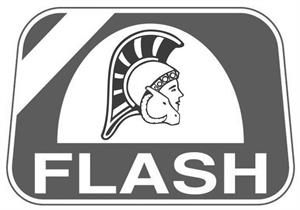 FLASH - לוגו סימן מסחר רשום