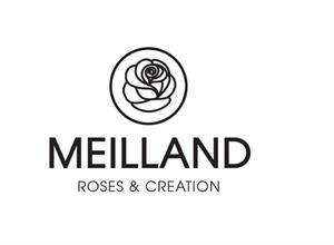 MEILLAND ROSES & CREATION - לוגו סימן מסחר רשום