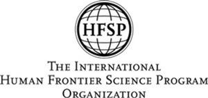 HFSP THE INTERNATIONAL HUMAN FRONTIER SCIENCE PROGRAM ORGANIZATION - לוגו סימן מסחר רשום