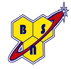 Bsn - לוגו סימן מסחר רשום
