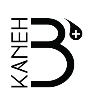 KANEH B + - לוגו סימן מסחר רשום