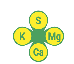 S K Mg Ca - לוגו סימן מסחר רשום