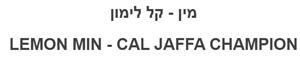 מין - קל לימון - לוגו סימן מסחר