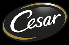 Cesar - לוגו סימן מסחר רשום