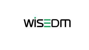 WISEDM - לוגו סימן מסחר רשום