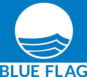 BLUE FLAG - לוגו סימן מסחר רשום