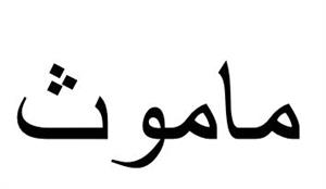 ماموث - לוגו סימן מסחר רשום