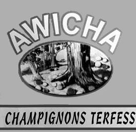 AWICHA CHAMPIGNONS TERFESS - לוגו סימן מסחר רשום
