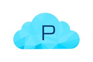 P - לוגו סימן מסחר רשום