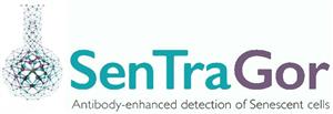 SenTraGor Antibody-enhanced detection of Senescent cells - לוגו סימן מסחר רשום