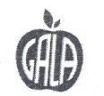 GALA - לוגו סימן מסחר