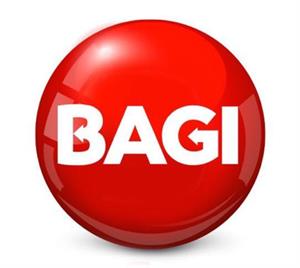 BAGI - לוגו סימן מסחר רשום