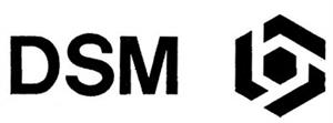 DSM - לוגו סימן מסחר רשום