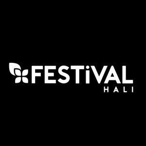 FESTiVAL HALI - לוגו סימן מסחר רשום