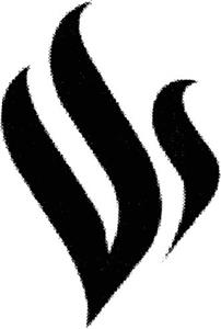 VS - לוגו סימן מסחר רשום