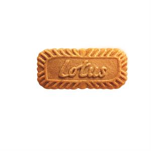 lotus - לוגו סימן מסחר רשום