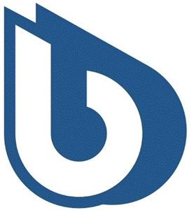b - לוגו סימן מסחר רשום