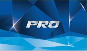 PRO - לוגו סימן מסחר רשום